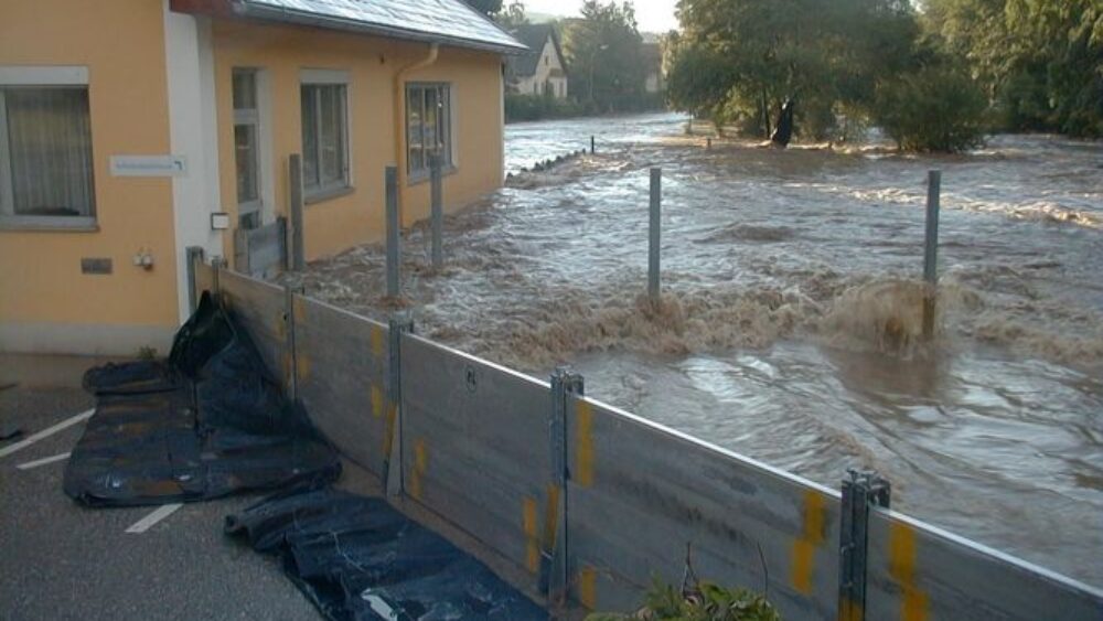 536ea764-267e-4b39-d7c4-7ef6206614f2